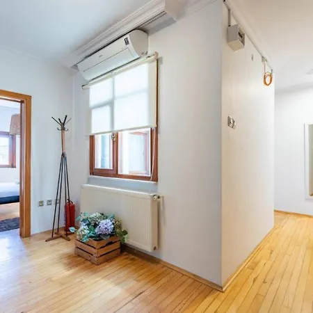 Bright Gorgeous Airy 4Bd2Bath Central Pad! #348 Apartment Istanbul